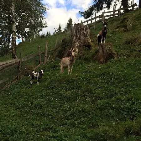 House Arianna Bad Kleinkirchheim