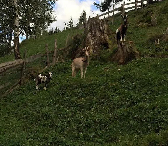 House Arianna באד קליניקירשהיים